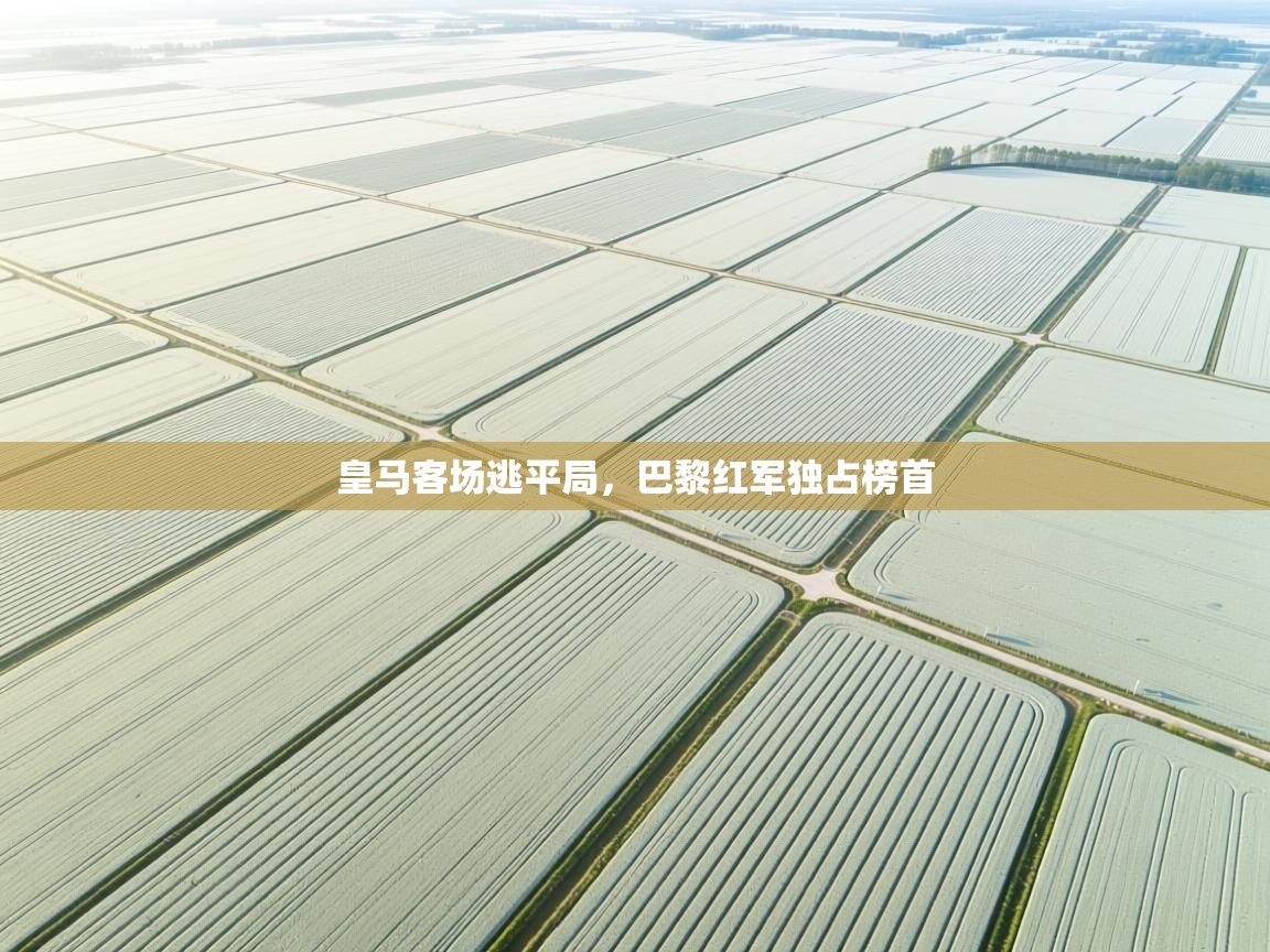 皇马客场逃平局，巴黎红军独占榜首  第2张