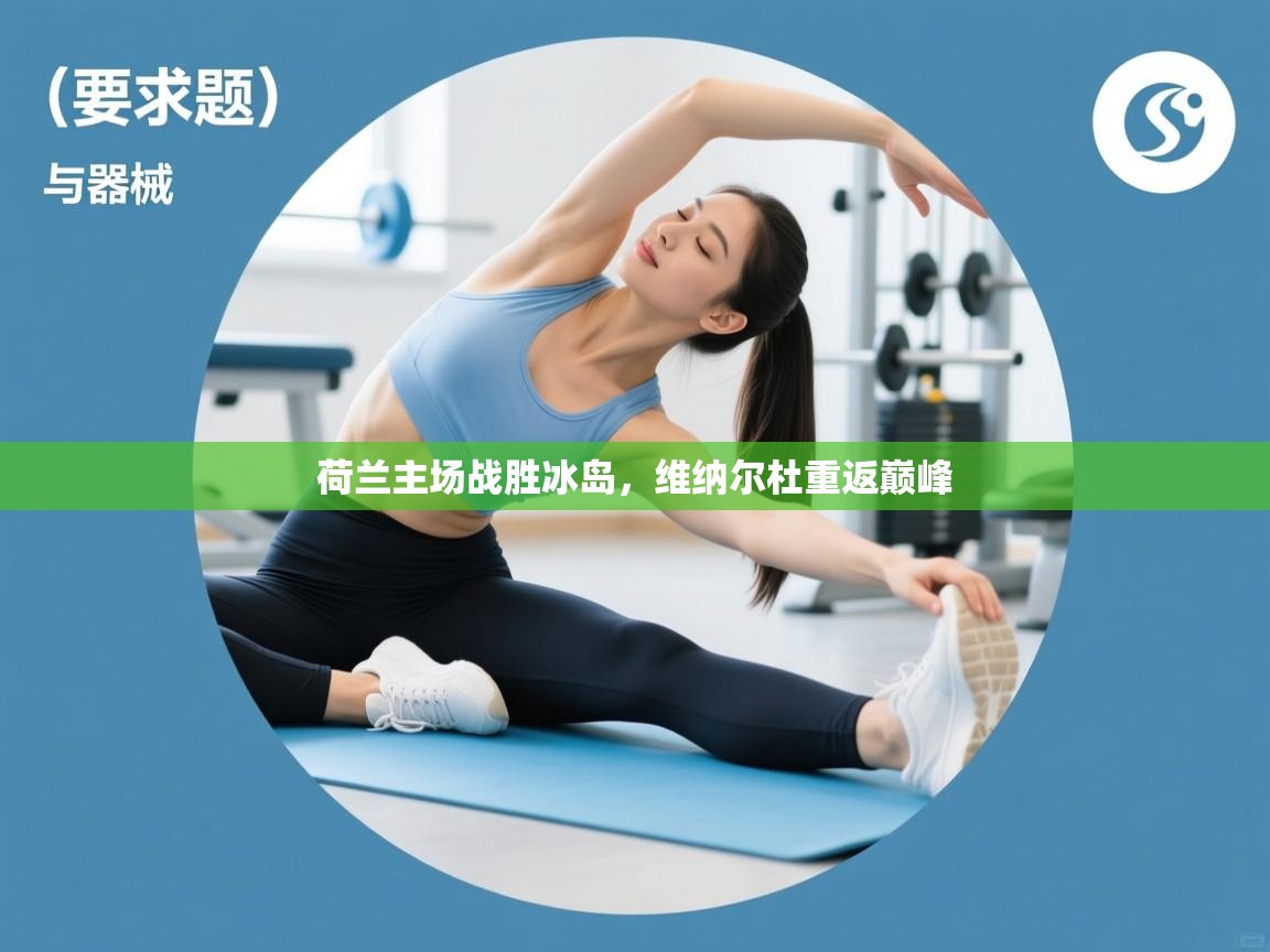 荷兰主场战胜冰岛,维纳尔杜重返巅峰 第1张