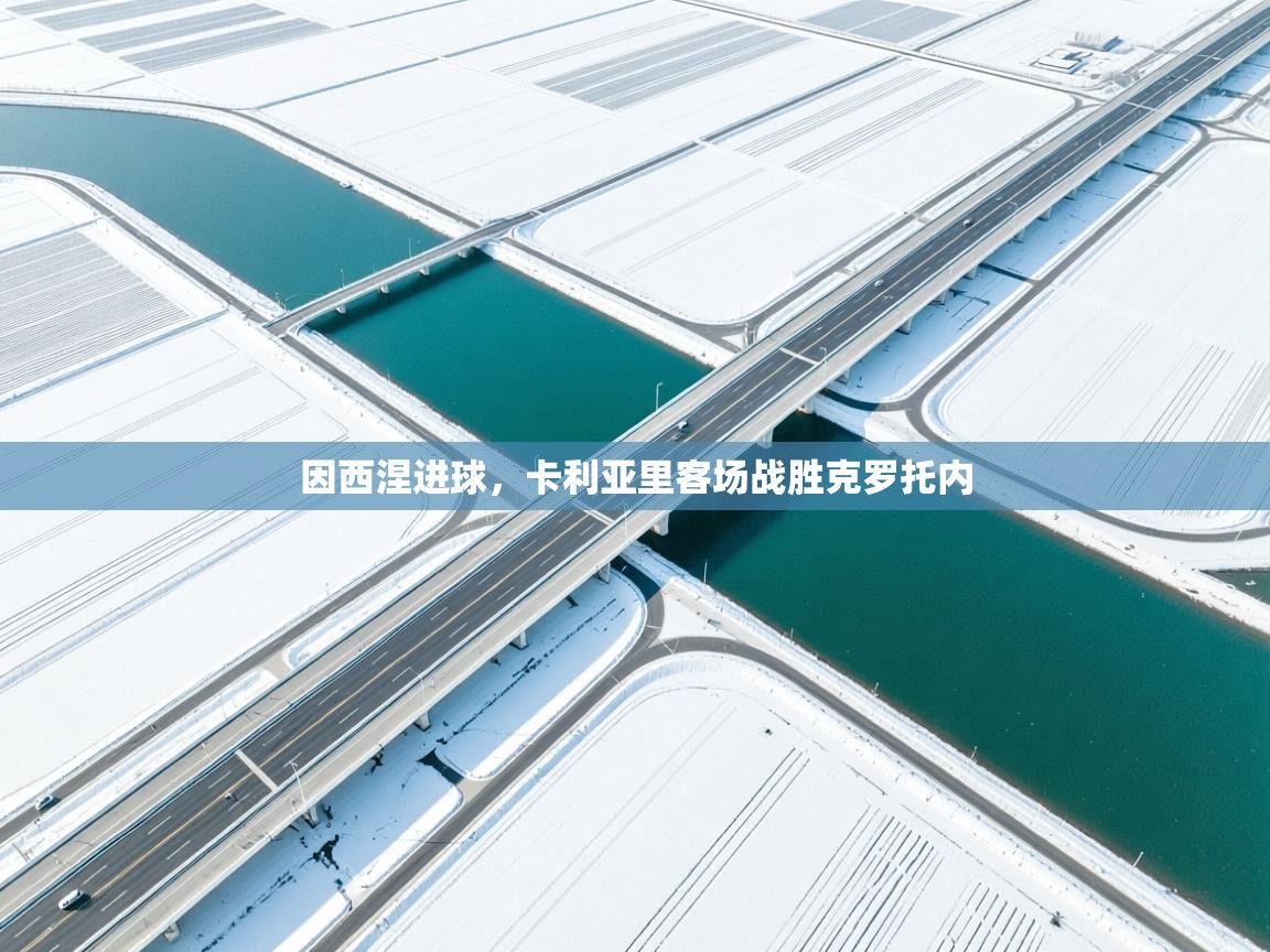 因西涅进球,卡利亚里客场战胜克罗托内 第1张