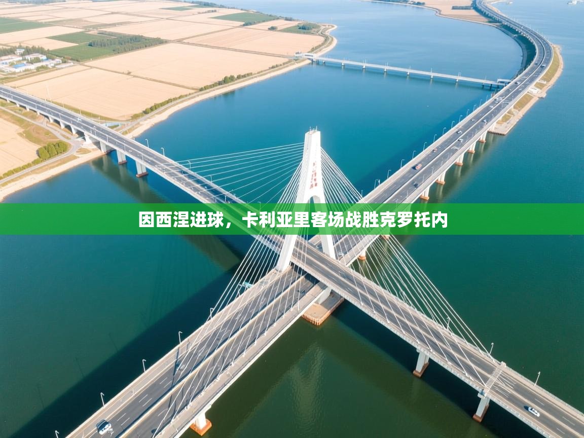 因西涅进球,卡利亚里客场战胜克罗托内 第2张